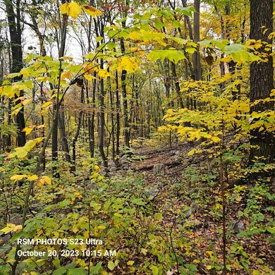 Possible Logging Trail To Property