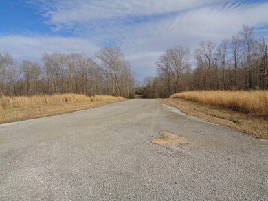 0 Eagle Loop unit 2223994, Loretto, TN 38469 - photo 4