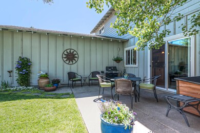 7_backyard