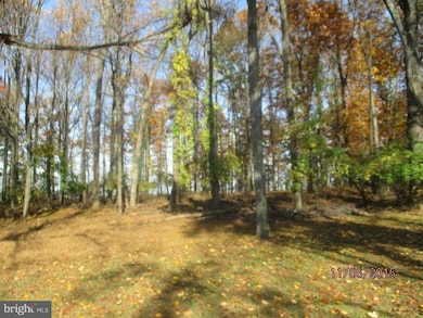 21386 Potomac View Rd, Sterling, VA 20164 - photo 6