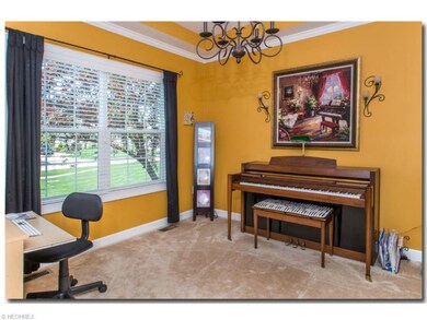 Dining Room - trayed ceiling, upgraded light fixtu