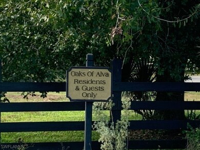 19501 Witts End, Alva, FL 33920 - photo 2