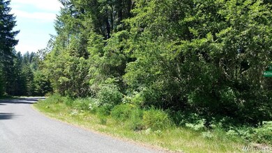 10923 Matthews Way, Anderson Island, WA 98303 - photo 3