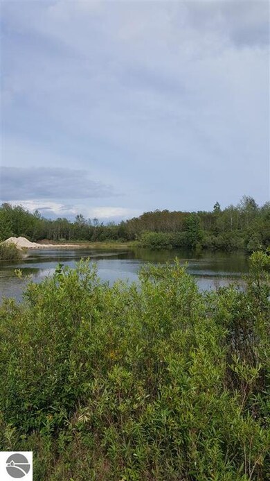 0 Turtle Rd, National City, MI 48748 - photo 6