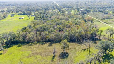 3480 County Road 310, Brazoria, TX 77422 - photo 3