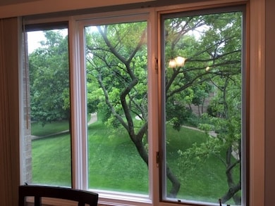 2029 Ammer Ridge Ct unit 201, Glenview, IL 60025 - photo 3