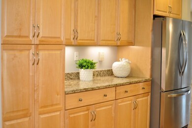 245 Cambridge St unit 205, Burlington, MA 01803 - photo 6