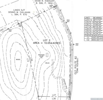 0 Old Route 82 unit 133687, Taghkanic, NY 12521 - photo 2