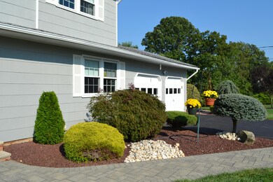 Professional Landscaping