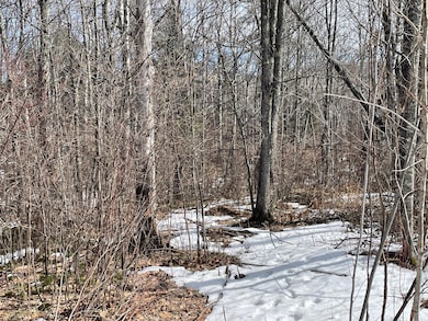 6630 Voyageurs Trail, Biwabik, MN 55708 - photo 6