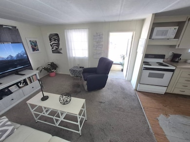 7400 46th Ave N unit 231, Saint Petersburg, FL 33709 - photo 3