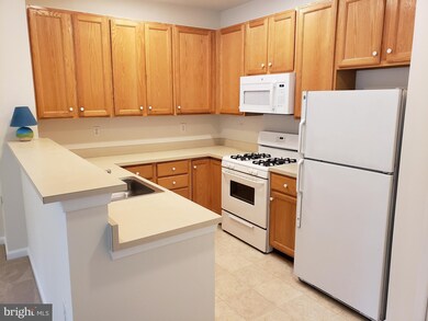 8732 Green Field Ct, Odenton, MD 21113 - photo 3