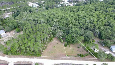 1351 Oak Pond Cir, Steinhatchee, FL 32359 - photo 2