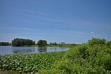 DSC_0217