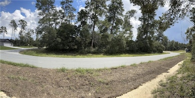XXX SW 167th Loop, Marion Oaks, FL 34473 - photo 6