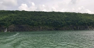 0 Off Morris Run Rt-41, Spafford, NY 13077 - photo 6