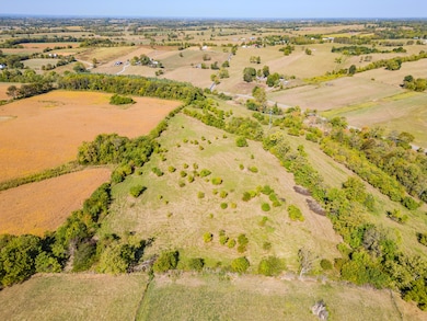 2569 W Headquarters Rd, Cynthiana, KY 41031 - photo 7