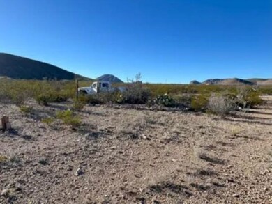 27236 Huff Rd, Terlingua, TX 79852 - photo 6