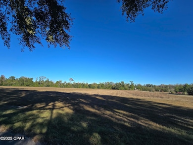 0000 Texas St, Alford, FL 32420 - photo 3