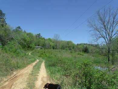 driveway through property