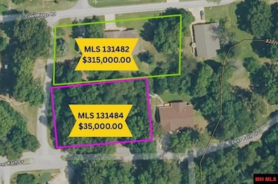 Lots 7 & 8 Deer Path Dr, Lakeview, AR 72642 - photo 4