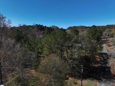 01 Blair Rd, Laurens, SC 29360 - photo 5