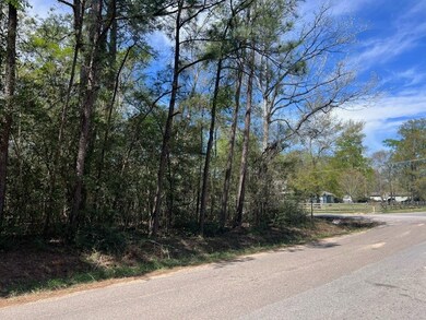 TBD Woodlane A Block 2 Lot 10, Splendora, TX 77372 - photo 4