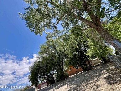 Shade Trees
