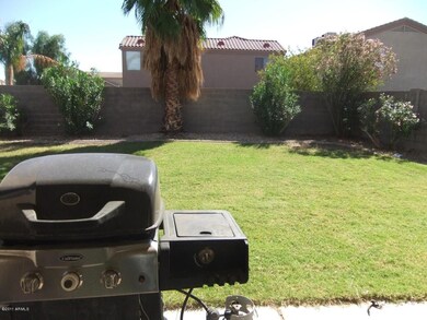 back yard