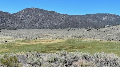 0 Benton Crossing Rd unit 5 250573, Benton, CA 93512 - photo 2