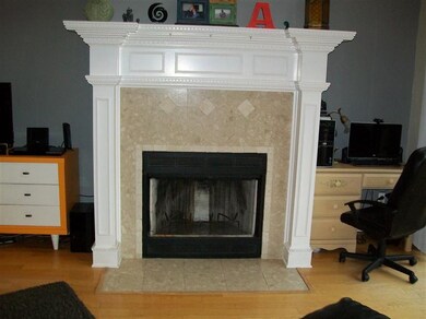 Fireplace in Great Room