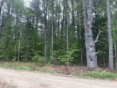 Lot 3 N Wakefield Rd unit Lot 1 on tax map, Wolfeboro, NH 03894 - photo 2