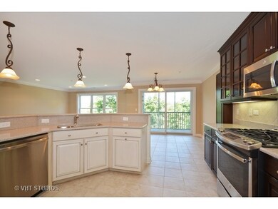 206 N Water St unit 203, Batavia, IL 60510 - photo 5