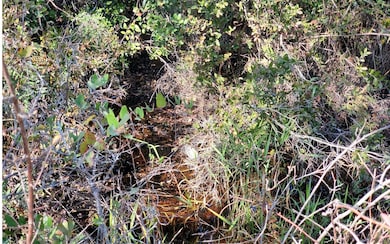 0 SW Brown Rd, Lee, FL 32059 - photo 3