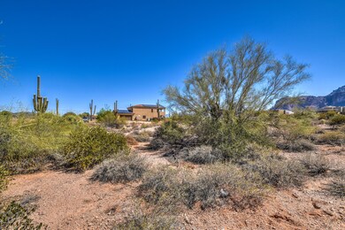 lot 6