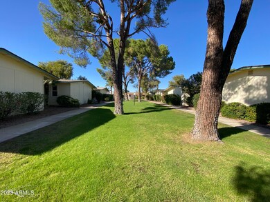 10521 W Wheatridge Dr, Sun City, AZ 85373 - photo 2