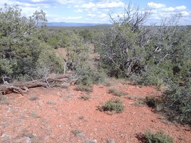 Lot 160 Juniperwood Ranch, Ash Fork, AZ 86320 - photo 3
