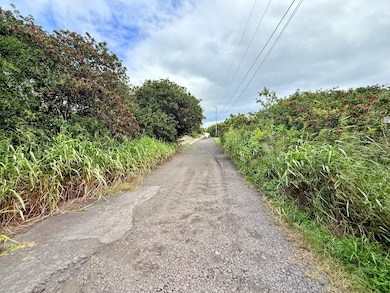 Pretty country road.