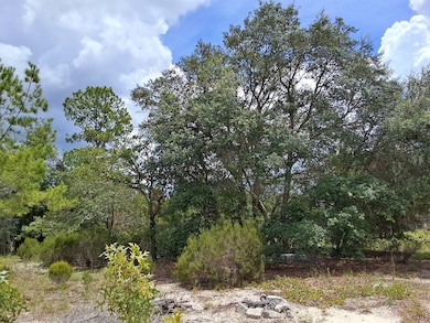 0 SW Kerria Ct unit 795440, Dunnellon, FL 34431 - photo 7