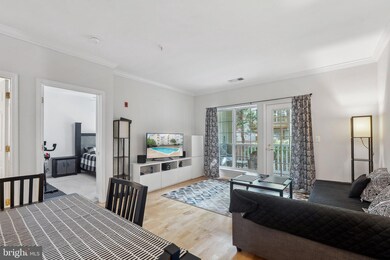 4560 Strutfield Ln unit 1212, Alexandria, VA 22311 - photo 3