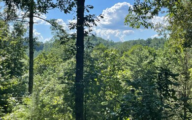 254 River Bend Trail, Ellijay, GA 30540 - photo 2