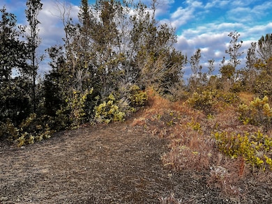 92-2417 Outrigger Drive  TMKs 3-9-2-170-10&11   Lot#s 20 & 21  MLS# 724572