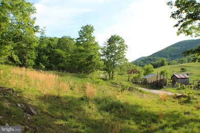 38.71ac Lower Timber Ridge Rd, Seneca Rocks, WV 26884 - photo 4