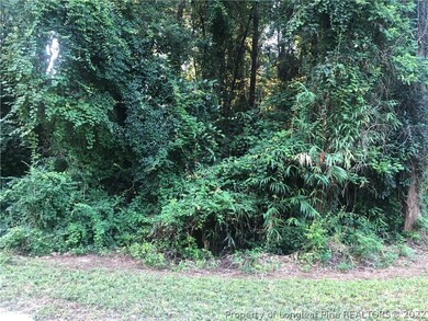 151 S Churchill Dr, Fayetteville, NC 28303 - photo 3