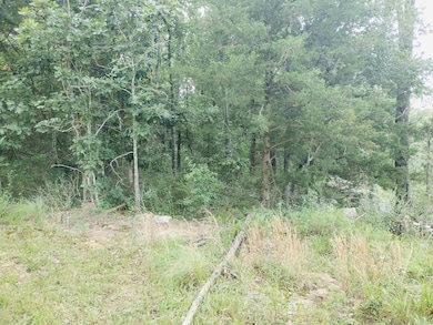 0 Little Pond Dr unit 25023106, Mountain View, AR 72560 - photo 4