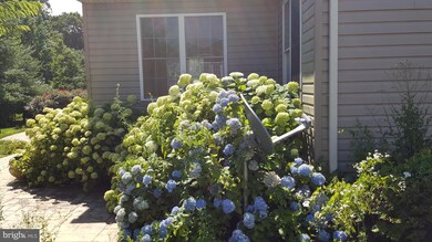 635 Brookfield Dr, Centreville, MD 21617 - photo 4