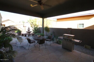 Backyard1