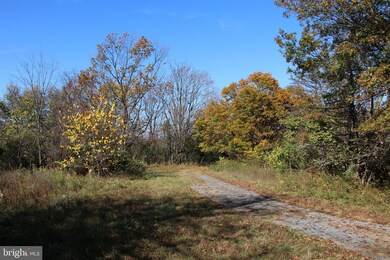 0 Tree Farm Ln, South River, VA 22610 - photo 2