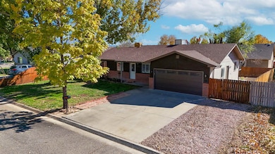 3013 1/2 Country Rd, Grand Junction, CO 81504 - photo 6