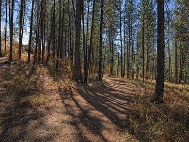 TBD Raven Ridge, Nine Mile Falls, WA 99026 - photo 6